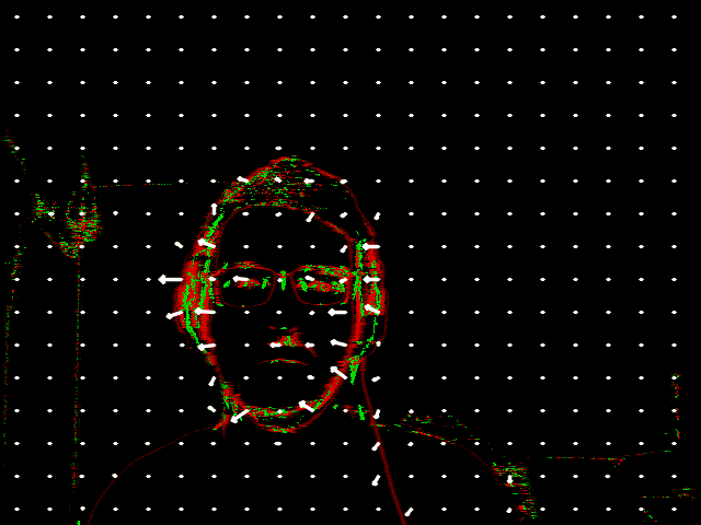 Embedded Optical Flow image